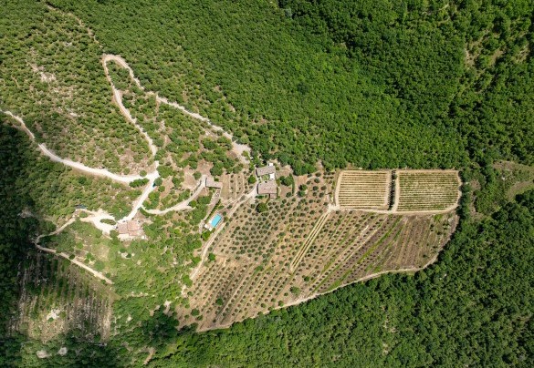 La proprietà è innervata da numerosi sentieri di trekking che si snodano tra corsi d’acqua e scorci paesaggistici di rara bellezza - Muricciaglia