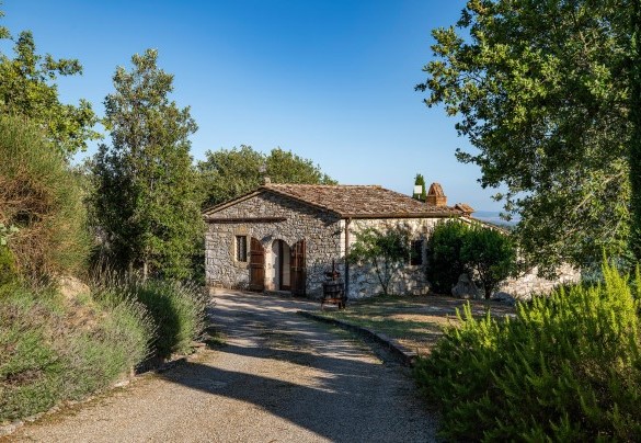 Il parco animato da ulivi, cipressi, cespugli di erbe aromatiche, lavanda e variegate piante in vaso, ingresso Annesso 2 - Muricciaglia