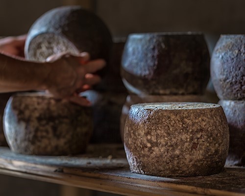 Casaro per un giorno
