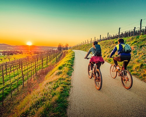 Tour in E-Bike di 5 Ore sulle Colline Toscane