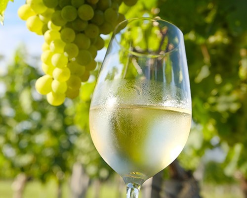 Vermentino di Gallura Wine tour