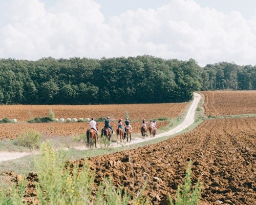 Chiantishire. Horseback riding tour for 14 pax