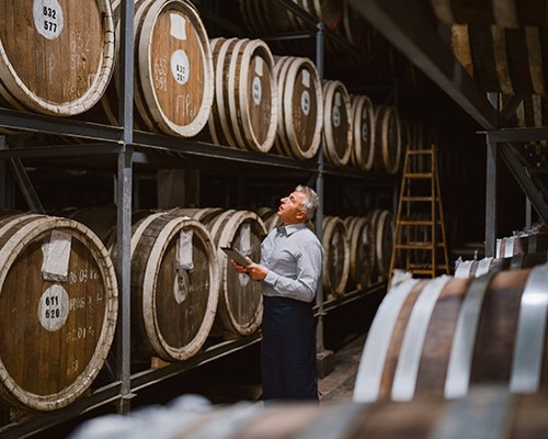 Tour della Cantina e degustazione dei vini