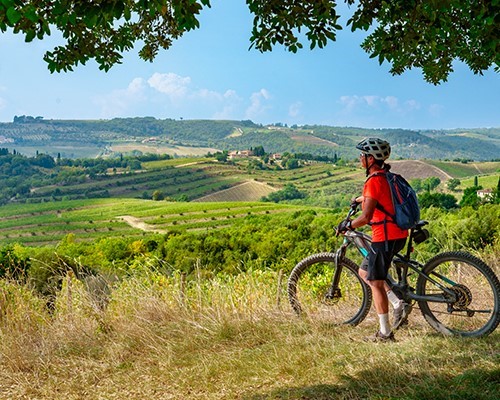 E-bike tour in Chianti