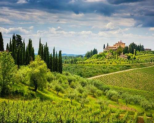 Grape stomping in Chianti