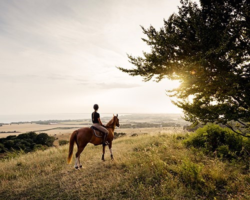 Passeggiata a cavallo e degustazione in Chianti