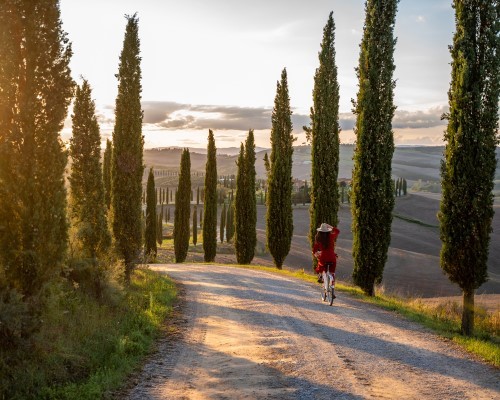 E-bike tour in Val D’Orcia