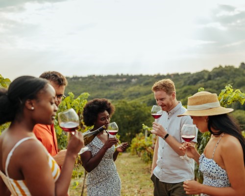 Wine Tour, Gran Cru Tasting near Siena