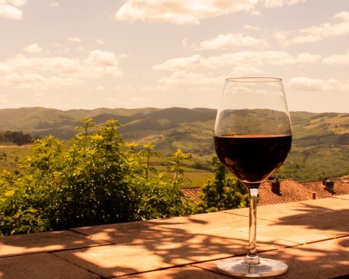 Organic Montalcino & local tasting