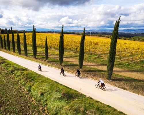 E-Bike Tour and Lunch in the Lucca Hills