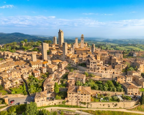 T-Bone steak, oil mill & winery tour in San Miniato