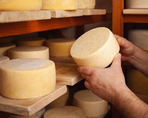 Tour del caseificio e olio d’oliva a Volterra