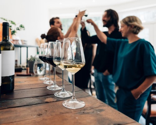 Degustazione in Villa 