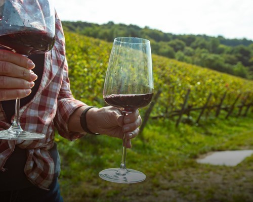 Benvenuti a Montepulciano