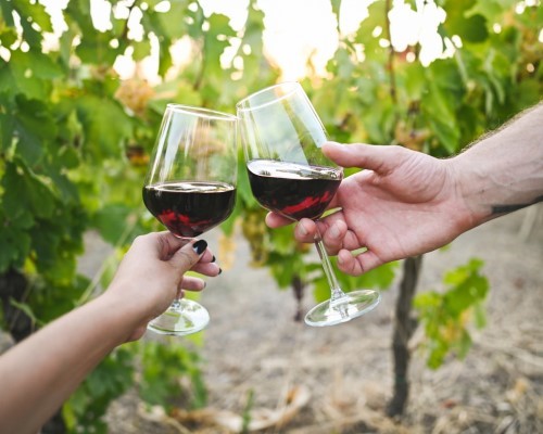 Degustazione privata in Cantina