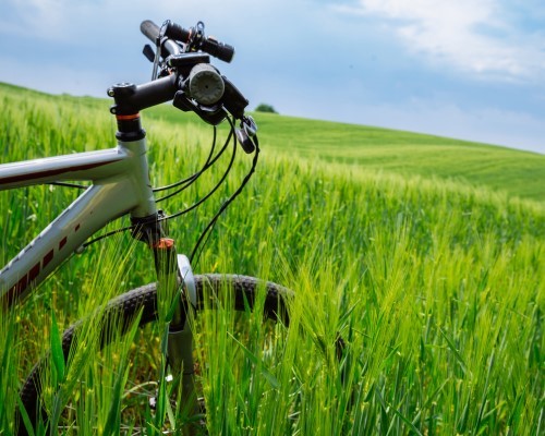 Noleggio e-bike giornaliero