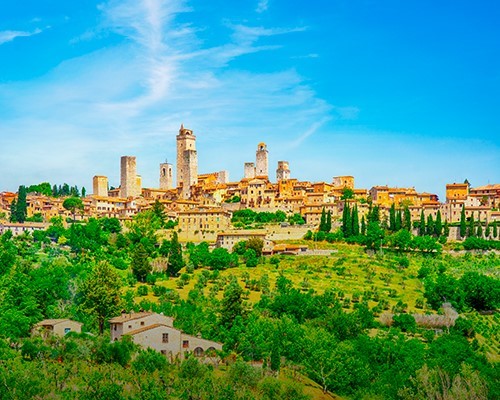 Top Products of San Gimignano: Saffron & Vernaccia Wine Tour