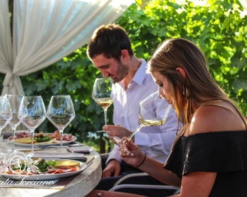 San Gimigano. Pranzo con vista sui vigneti per 12 persone