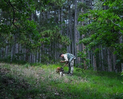 Truffle Hunting and cooking class and wine tasting