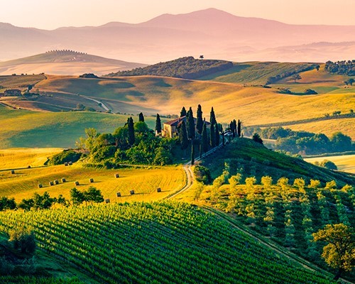 Caccia al tartufo in Val d’Orcia