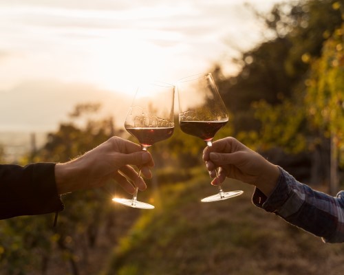 Wine Tasting in Val di Noto