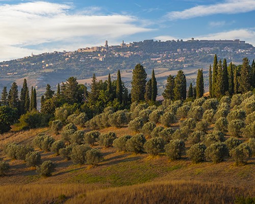 The Etruscan Volterra & Cheese Farm Tour