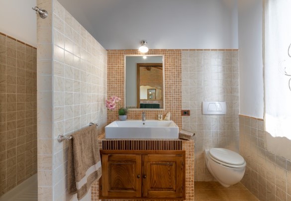 En suite bathroom with shower no.6 - Podere Gellino