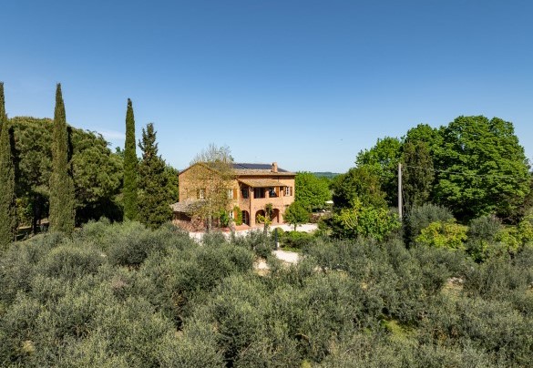 Dai vigneti della tenuta si producono i vini locali più celebri - Sangiovese