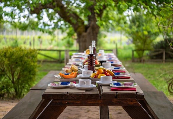 Il tavolo da pranzo esterno, ombreggiato da una pergola - Sangiovese