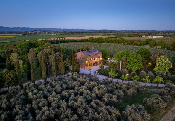 Posizione ideale per un’esperienza autentica nella cultura enologica locale - Sangiovese