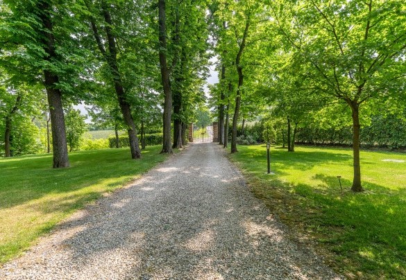 Beyond the gate, lime trees line the gravel driveway - Tenuta Schiavon Barrero