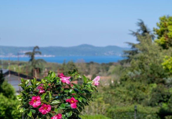 View from the terrace of bedroom no.1  – Villa Corte Sant’Anna