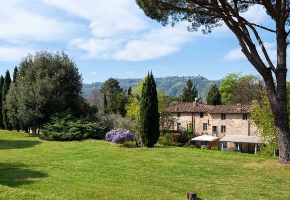Il parco di circa 2 ettari, interamente recintato, disposto su terrazzamenti - Villa Delle Silerchie