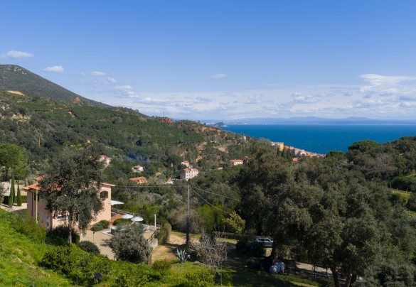 Immersed in Mediterranean vegetation, among olive trees and majestic centuries-old cork oaks - Villa Perelle 
